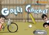 Cricket A Free Sports Game