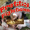 Pretty Pigletons A Free BoardGame Game