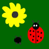 Ladybug - TPC A Free Puzzles Game