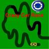 Car Race on a Crooked Road A Free Sports Game