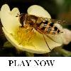 Bee on flower Jigsaw Puzzle