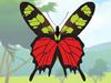 Colorful Butterfly designer A Free Dress-Up Game
