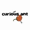 the curious ant