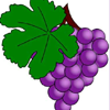 Grape Jigsaw Puzzle