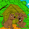 Play Pet World and enjoy different animals.