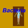 Bacteria A Free Action Game