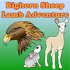 Desert Bighorn Sheep Lamb Adventure