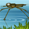 Water Strider A Free Action Game