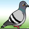 Pigeon Jigsaw Puzzle Game A Free Dress-Up Game
