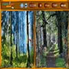 Forest Similarities A Free Puzzles Game