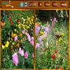 Flowers Similarities A Free Puzzles Game
