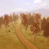 Forest Race A Free Action Game