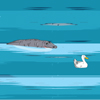 Duck Chase A Free Action Game