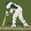 TMS Twenty20 Cricket A Free Sports Game