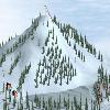 Ski Race A Free Action Game