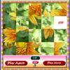 Flower Slider A Free Puzzles Game