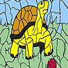 Turtle and ball coloring