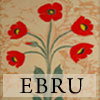 Ebru Differences