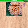 Pink Rose 2 A Free Puzzles Game