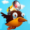 Smart Birds A Free Puzzles Game