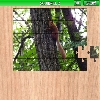 Squirrel 2 A Free Puzzles Game