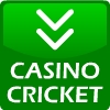 Casino Cricket A Free Casino Game