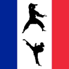 Kung Fu France A Free Action Game