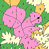 Squirrel among the flowers coloring A Free Customize Game
