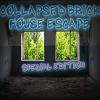 Collapsed Brick House: SE A Free Adventure Game
