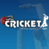 OnlineCricket A Free Sports Game