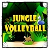 Jungle Volleyball A Free Action Game