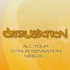 Citrusation A Free Action Game