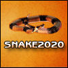 SNAKE 20-20 A Free Other Game