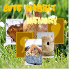 Cute Rabbit Memory A Free BoardGame Game