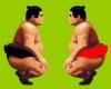 Challenge of the Sumo wrestlers A Free Puzzles Game