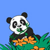 Panda Adventure A Free Adventure Game