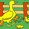 Duckie in the farm coloring