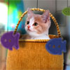 New Kitten Home A Free BoardGame Game