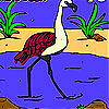 Flamingo in the river coloring Game.