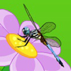 Find the Dragonfly A Free Puzzles Game