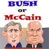 Bush or McCain?