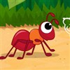 Come on Ant! A Free Puzzles Game