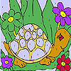Funny sea turtle coloring