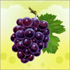 Grapes A Free Education Game