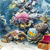 Underwater World A Free Puzzles Game