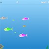Survivor Fishy Clone A Free Other Game