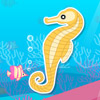 Finding Seahorses A Free Other Game