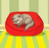 Cat Room Decoration A Free Dress-Up Game