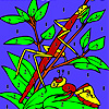 Grasshoppers on the leaf coloring A Free Customize Game