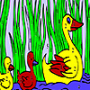 Duck family in the lake coloring A Free Customize Game